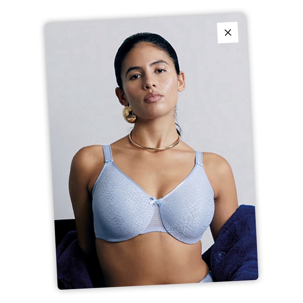 Chantelle AQUA BLUE C Magnifique Seamless Unlined Minimizer Bra, 36F